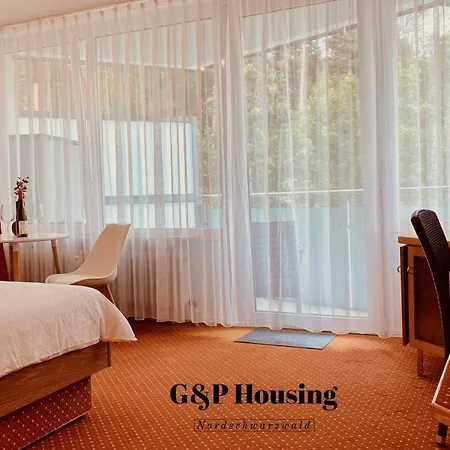 G&P Housing Apartments Mit Kueche & Balkon & Highspeed Internet- Comfort Altensteig Exterior foto