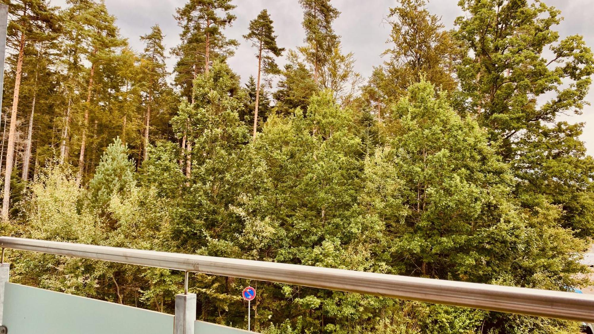 G&p Housing Mit Kueche & Balkon & Highspeed Internet- Comfort Altensteig